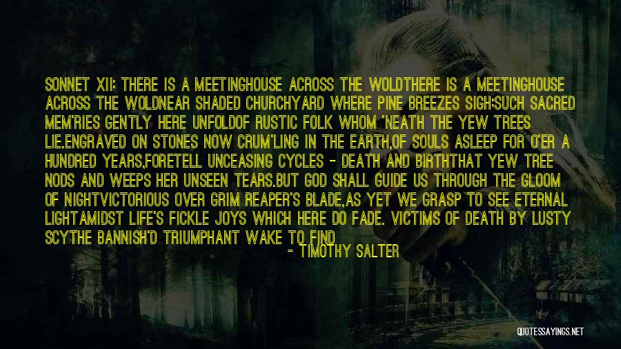 Timothy Salter Quotes 878250