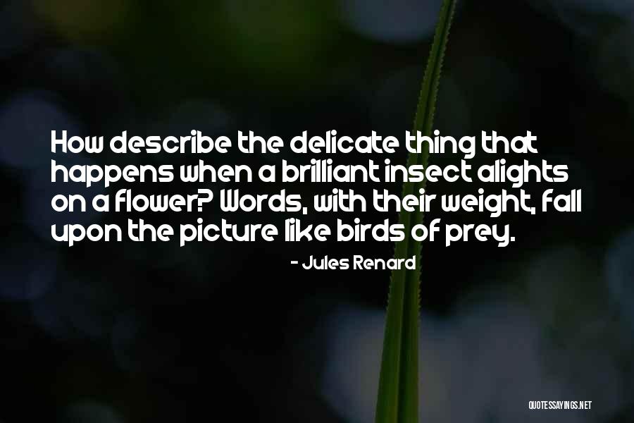 Timothy Shanahan Quotes By Jules Renard Timothy Shanahan Quotes By Jules Renard