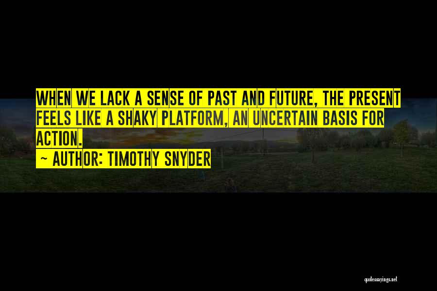 Timothy Snyder Quotes 132641