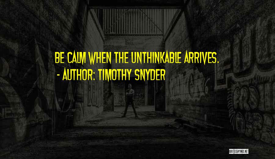 Timothy Snyder Quotes 2193363