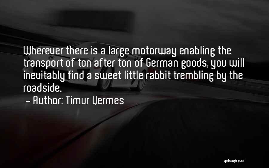 Timur Vermes Quotes 1525003