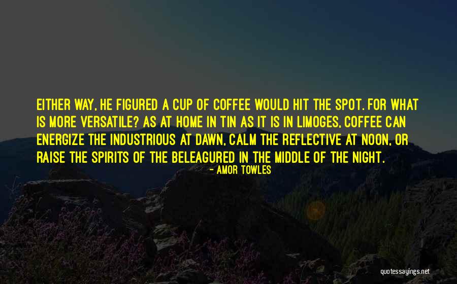 Tin Can Quotes By Amor Towles