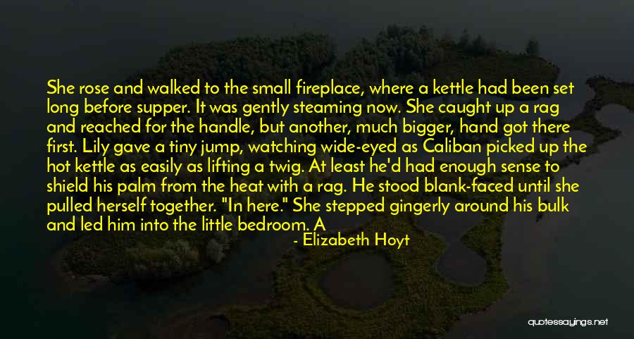 Tin Can Quotes By Elizabeth Hoyt