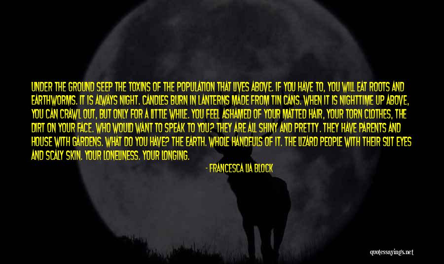 Tin Can Quotes By Francesca Lia Block