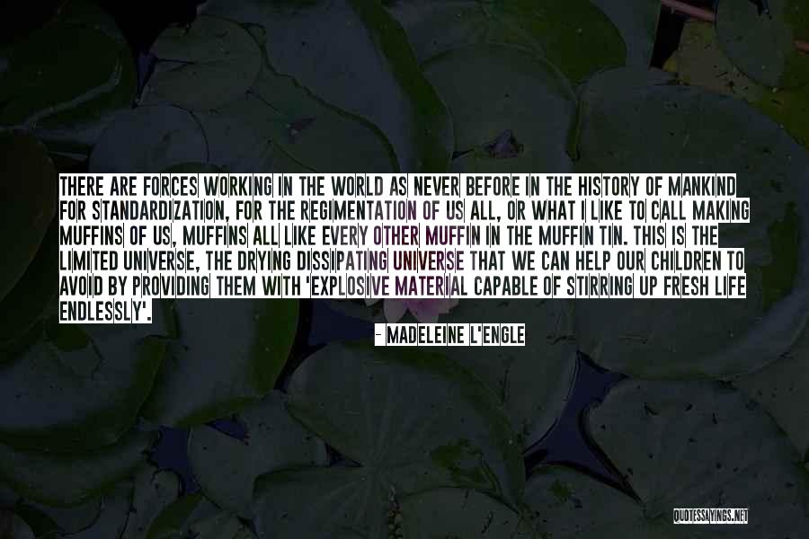 Tin Can Quotes By Madeleine L'Engle