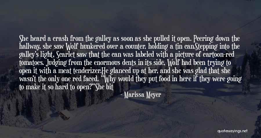 Tin Can Quotes By Marissa Meyer