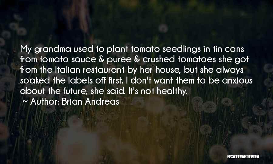 Tin Cans Quotes By Brian Andreas