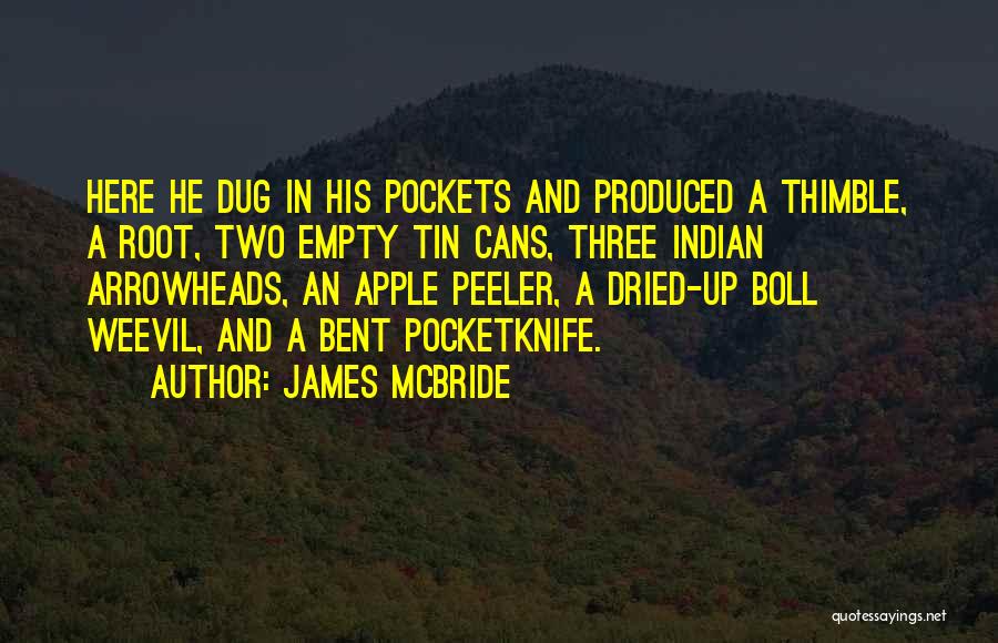 Tin Cans Quotes By James McBride