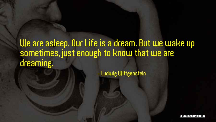 Tin Foiled Quotes By Ludwig Wittgenstein Tin Foiled Quotes By Ludwig Wittgenstein