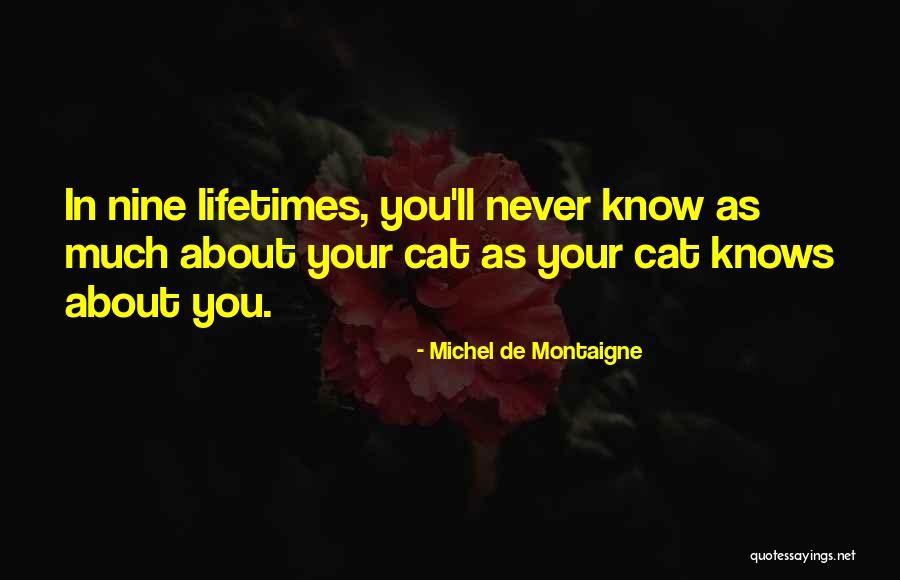Tin Form Bir Quotes By Michel De Montaigne Tin Form Bir Quotes By Michel De Montaigne