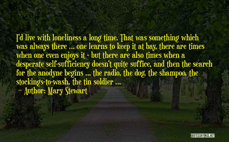 Tin Soldier Quotes By Mary Stewart