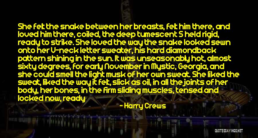 Tin Tan Quotes By Harry Crews Tin Tan Quotes By Harry Crews