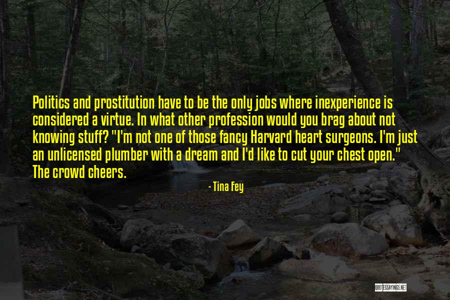 Tina Fey Quotes 1834710 Tina Fey Quotes 1834710