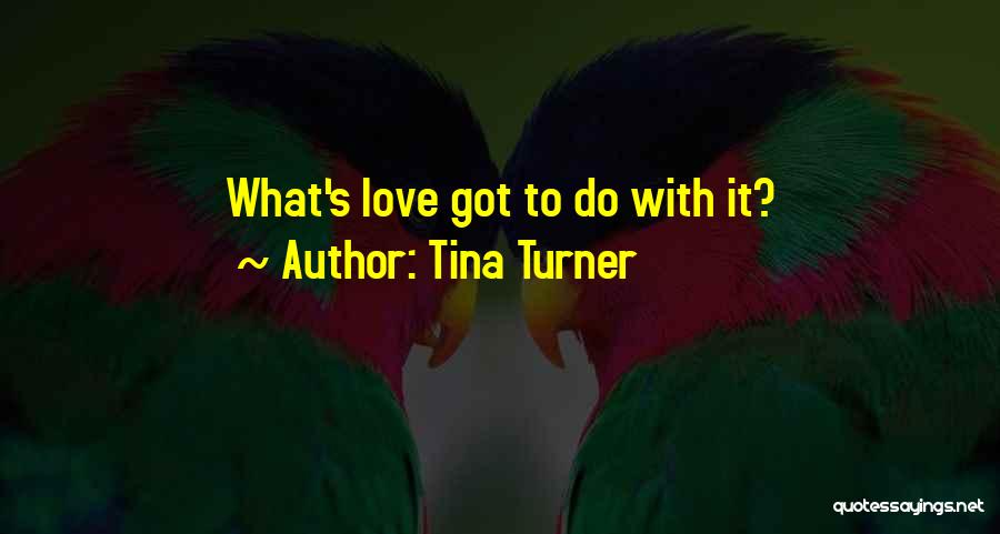 Tina Turner Quotes 420160