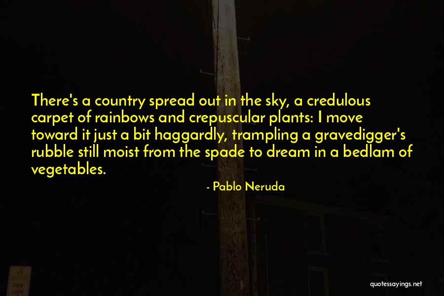 Tinatin Berdzenishvili Quotes By Pablo Neruda Tinatin Berdzenishvili Quotes By Pablo Neruda