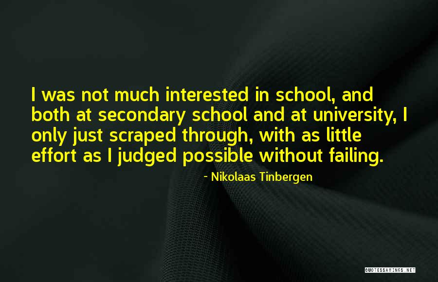 Tinbergen Quotes By Nikolaas Tinbergen Tinbergen Quotes By Nikolaas Tinbergen