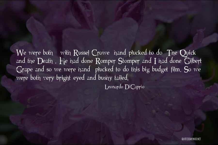 Tincuta Marin Quotes By Leonardo DiCaprio Tincuta Marin Quotes By Leonardo DiCaprio