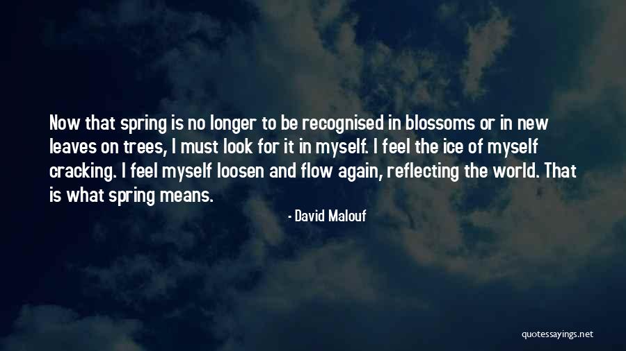 Tingir Camisolas Quotes By David Malouf Tingir Camisolas Quotes By David Malouf