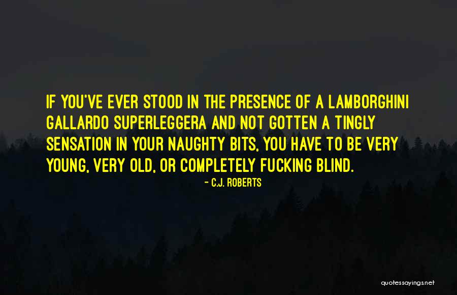 Tingly Quotes By C.J. Roberts Tingly Quotes By C.J. Roberts