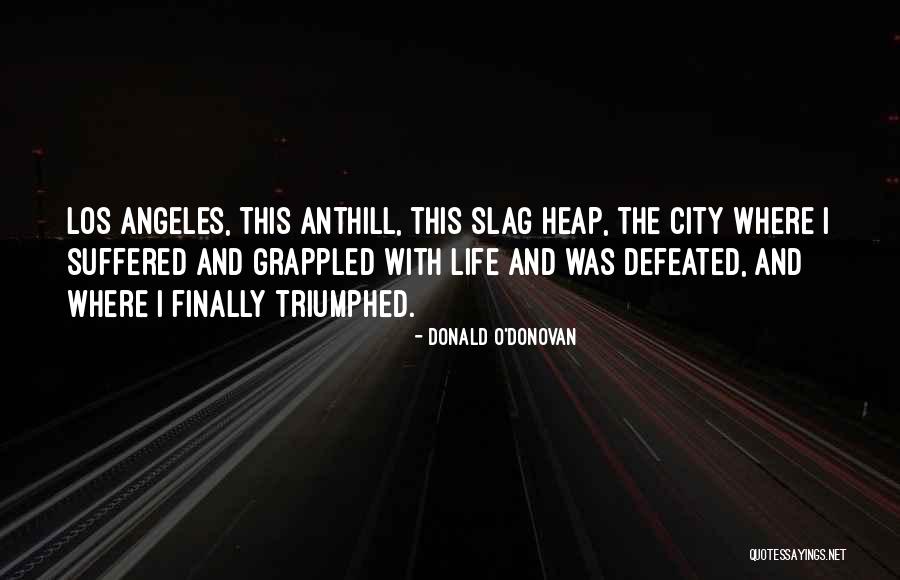 Tinhoso Diabo Quotes By Donald O'Donovan Tinhoso Diabo Quotes By Donald O'Donovan