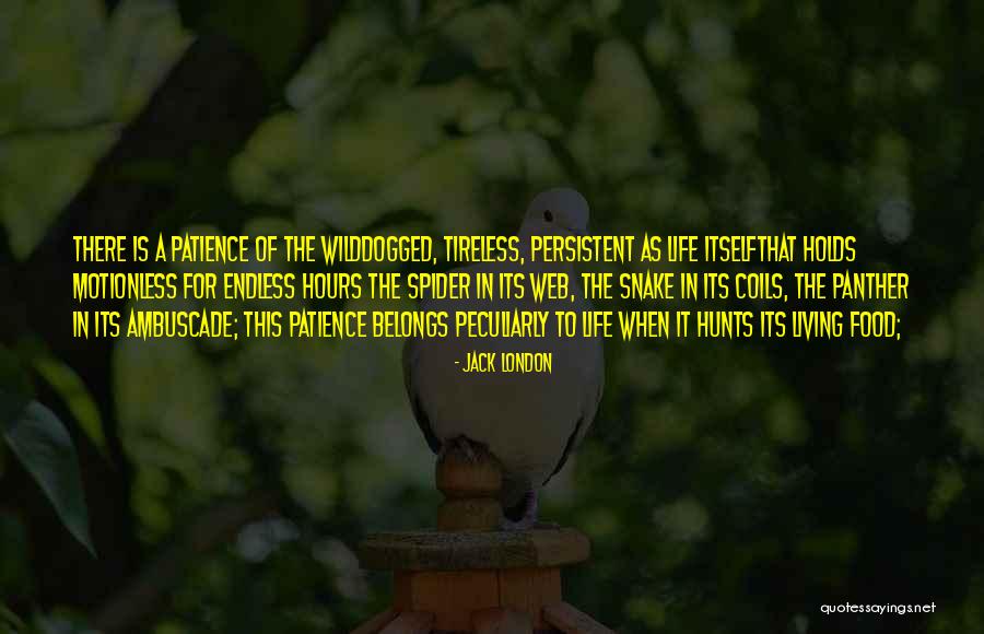 Tinily In A Sentence Quotes By Jack London Tinily In A Sentence Quotes By Jack London