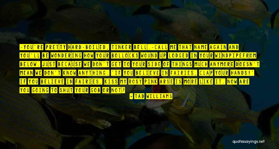 Tinker Bell Quotes By Tad Williams Tinker Bell Quotes By Tad Williams