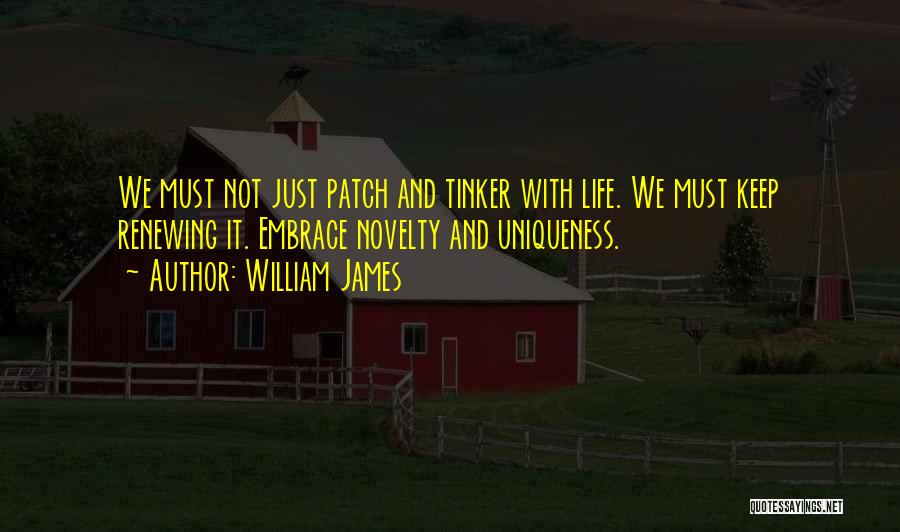 Tinker Quotes By William James