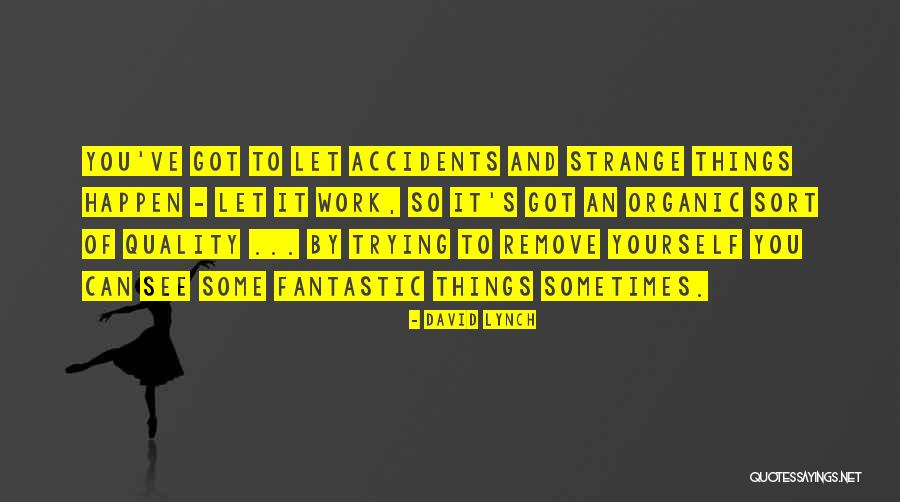 Tinlin Chiropractic Quotes By David Lynch Tinlin Chiropractic Quotes By David Lynch
