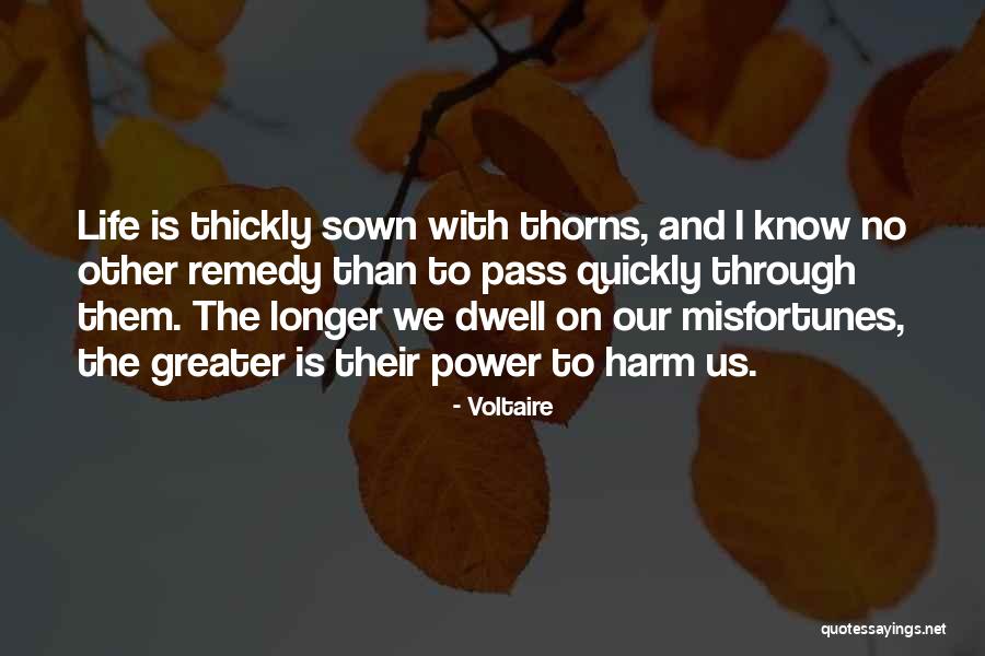 Tintern Cheese Quotes By Voltaire Tintern Cheese Quotes By Voltaire