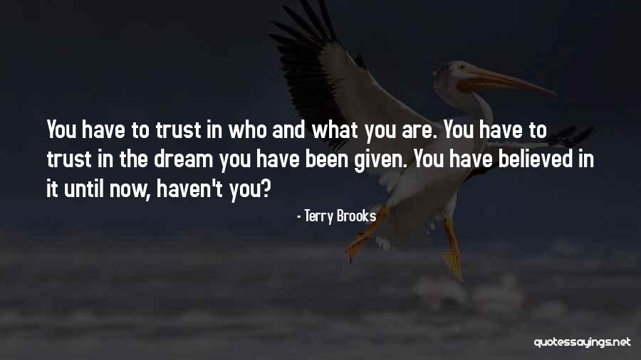 Tinuviel Quotes By Terry Brooks Tinuviel Quotes By Terry Brooks