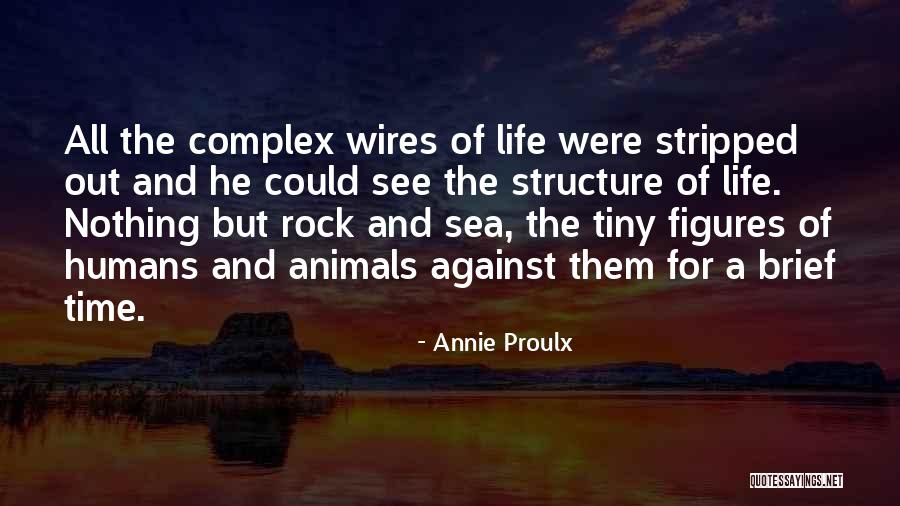 Tiny Animals Quotes By Annie Proulx Tiny Animals Quotes By Annie Proulx