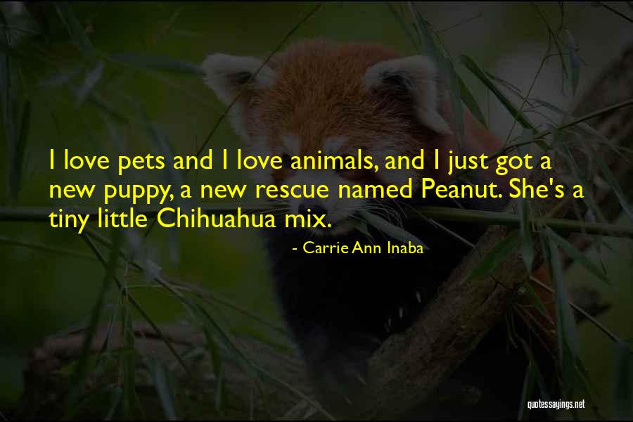 Tiny Animals Quotes By Carrie Ann Inaba Tiny Animals Quotes By Carrie Ann Inaba