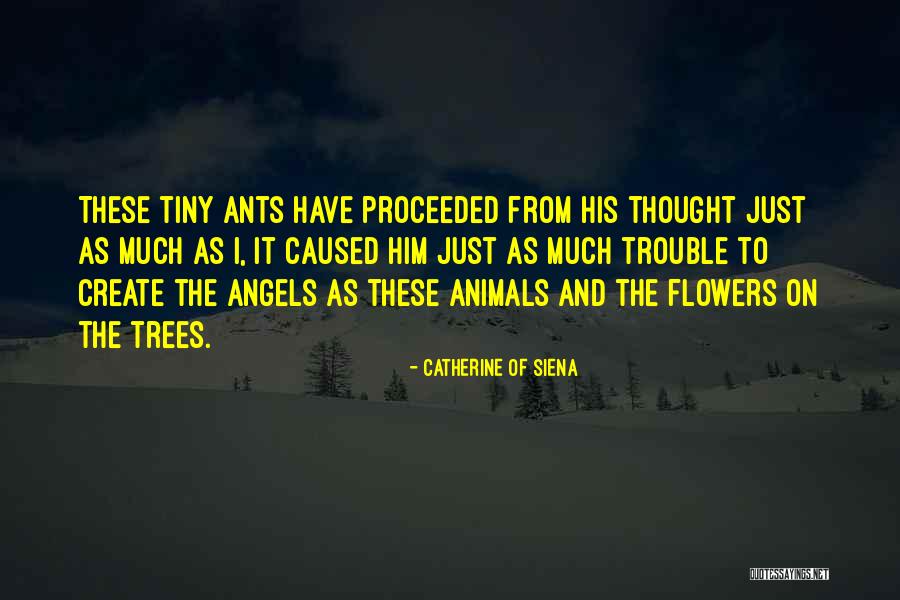 Tiny Animals Quotes By Catherine Of Siena Tiny Animals Quotes By Catherine Of Siena