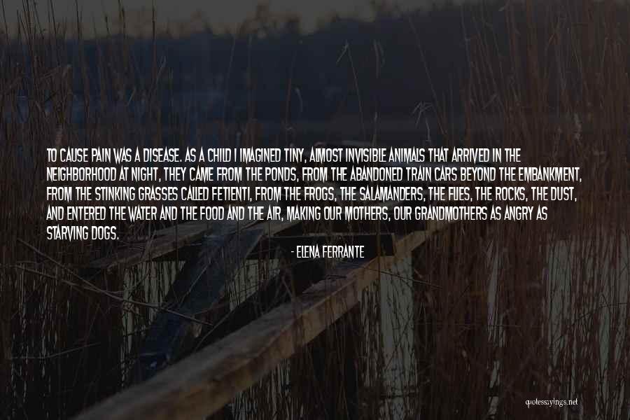 Tiny Animals Quotes By Elena Ferrante Tiny Animals Quotes By Elena Ferrante