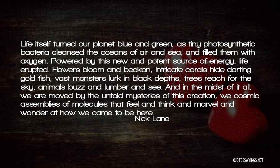 Tiny Animals Quotes By Nick Lane Tiny Animals Quotes By Nick Lane