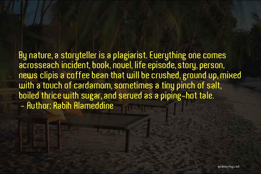 Tiny Book Of Stories Quotes By Rabih Alameddine