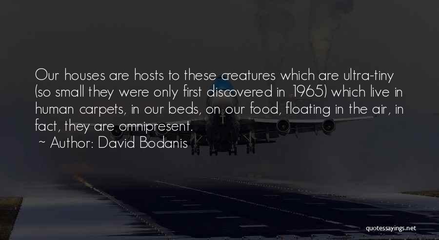 Tiny Creatures Quotes By David Bodanis