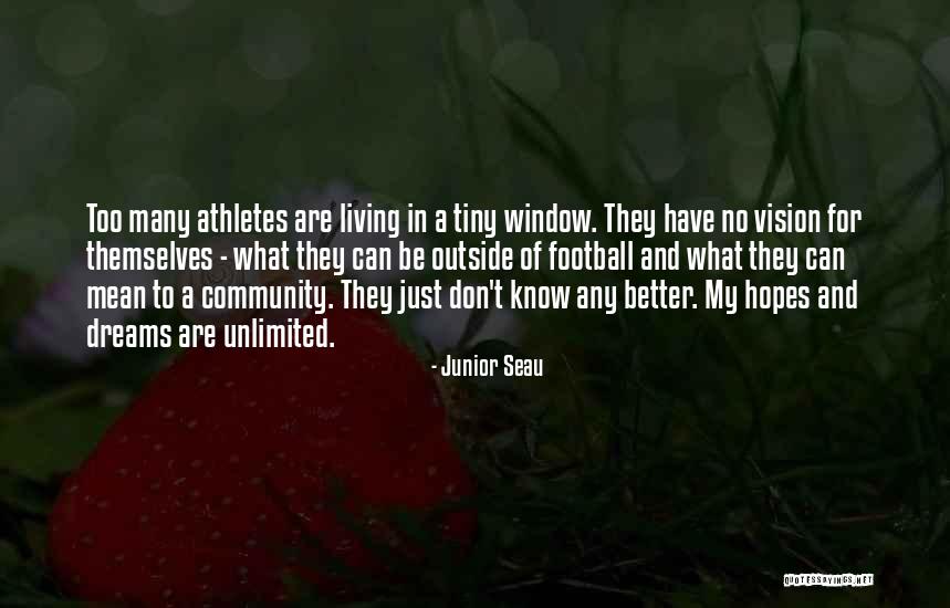 Tiny Dreams Quotes By Junior Seau Tiny Dreams Quotes By Junior Seau