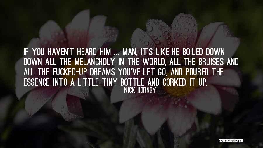 Tiny Dreams Quotes By Nick Hornby Tiny Dreams Quotes By Nick Hornby