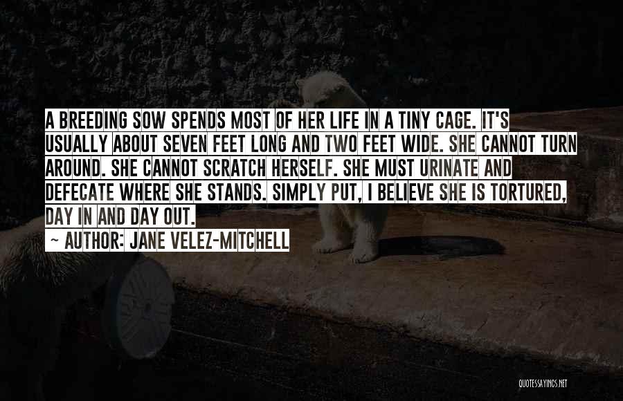 Tiny Feet Quotes By Jane Velez-Mitchell