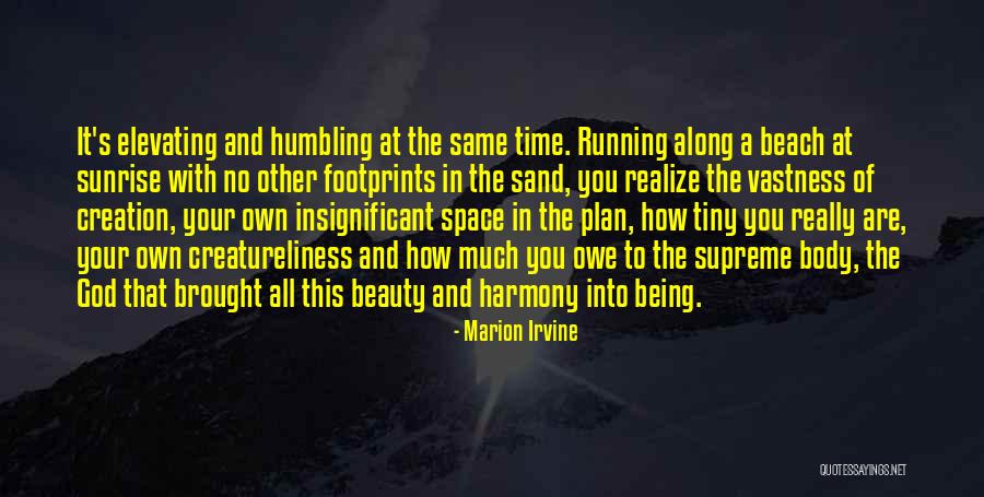 Tiny Footprints Quotes By Marion Irvine Tiny Footprints Quotes By Marion Irvine