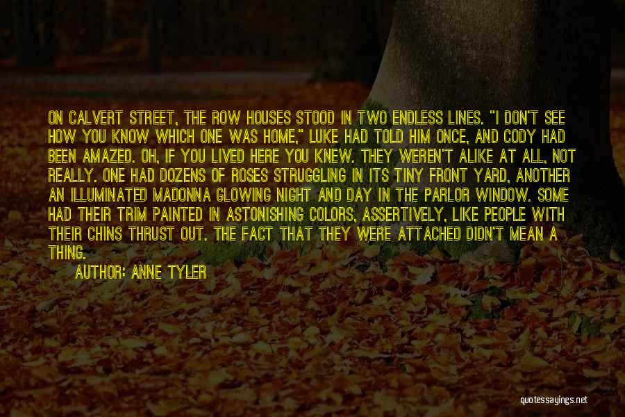 Tiny Houses Quotes By Anne Tyler