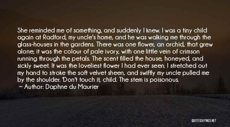 Tiny Houses Quotes By Daphne Du Maurier