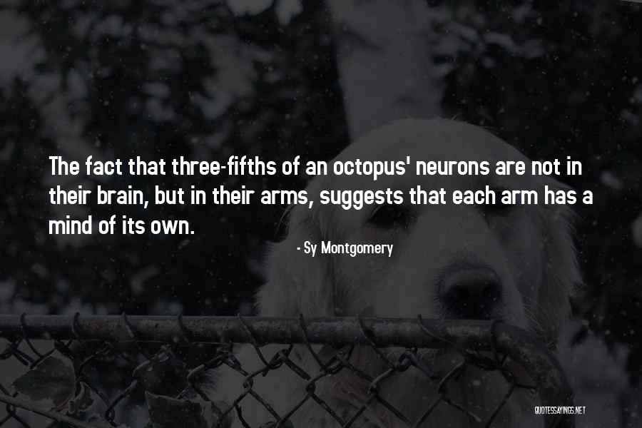 Tiny Little Steps Forward Quotes By Sy Montgomery Tiny Little Steps Forward Quotes By Sy Montgomery