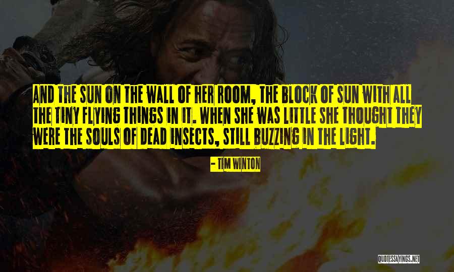 Tiny Little Things Quotes By Tim Winton Tiny Little Things Quotes By Tim Winton