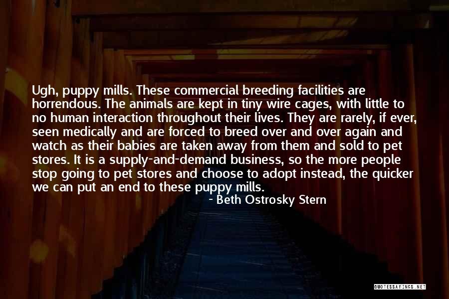 Tiny Puppy Quotes By Beth Ostrosky Stern Tiny Puppy Quotes By Beth Ostrosky Stern