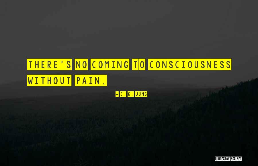 Tinymce Adding Quotes By C. G. Jung Tinymce Adding Quotes By C. G. Jung