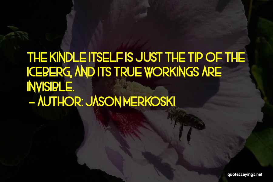 Tip Of The Iceberg Quotes By Jason Merkoski