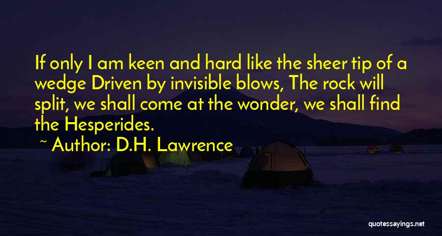 Tip Quotes By D.H. Lawrence