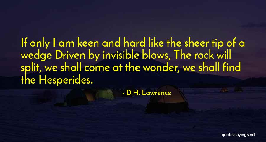 Tip Quotes By D.H. Lawrence Tip Quotes By D.H. Lawrence